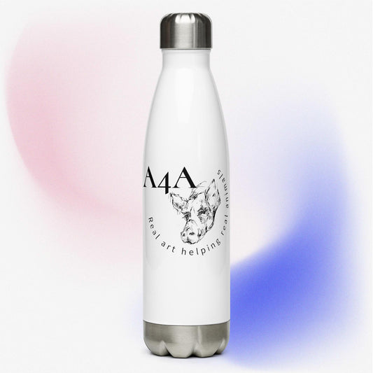 Stainless Steel Water Bottle